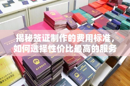 巍山揭秘签证制作的费用标准，如何选择性价比最高的服务？