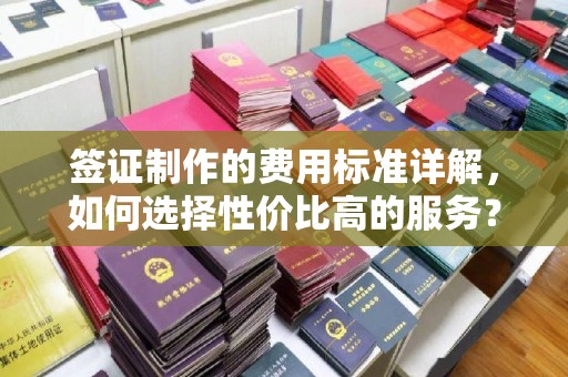 巍山签证制作的费用标准详解，如何选择性价比高的服务？